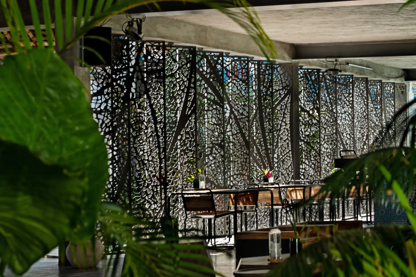 Отель Casa Del Mar