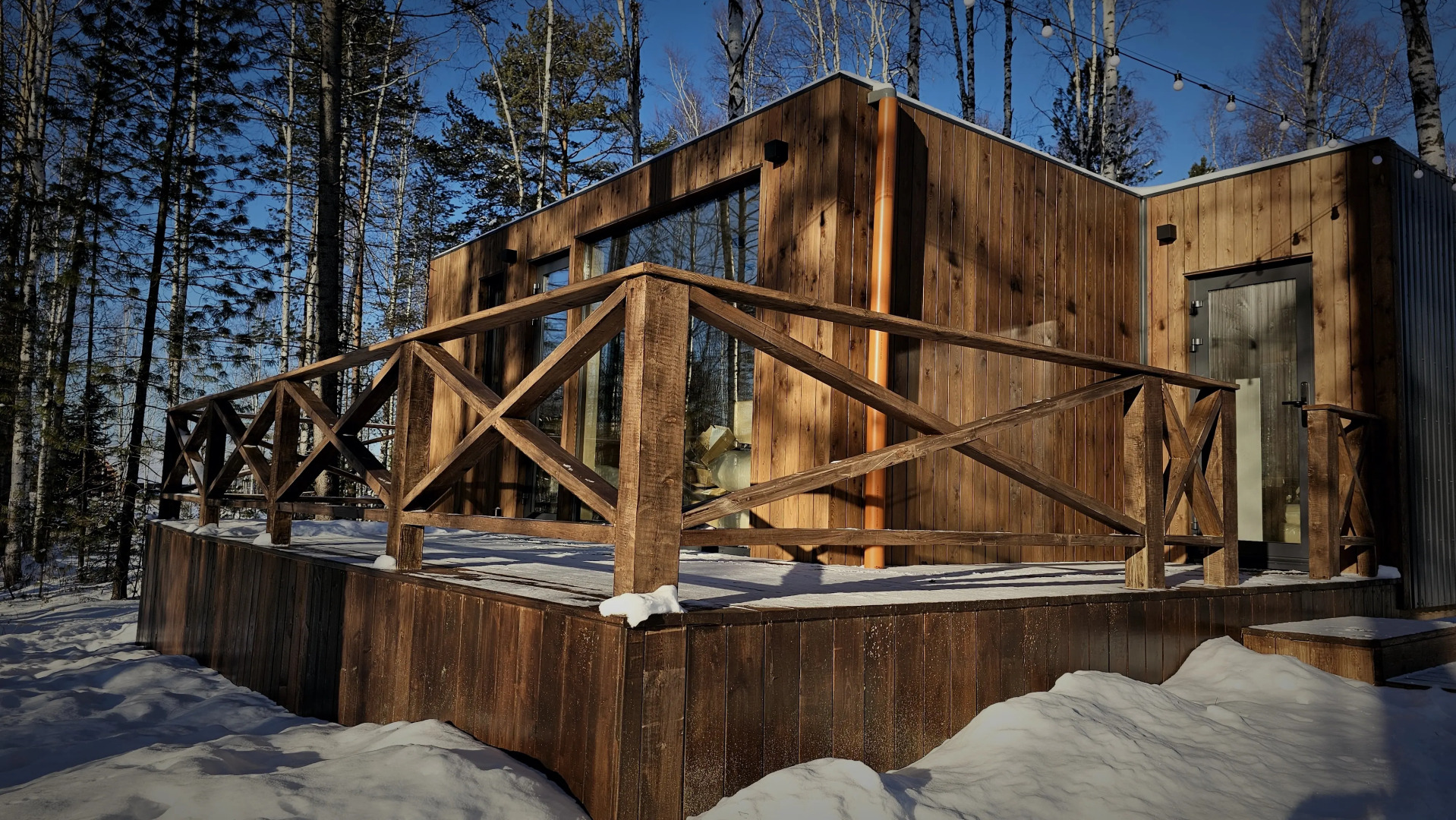 Снежные Гуси в Байкальске