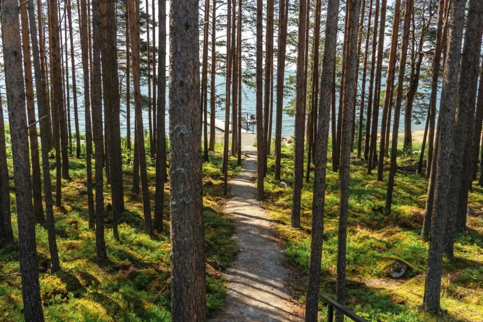 Шале Green Club Family Karelia 2