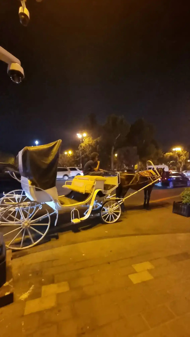 Apartments History 1870