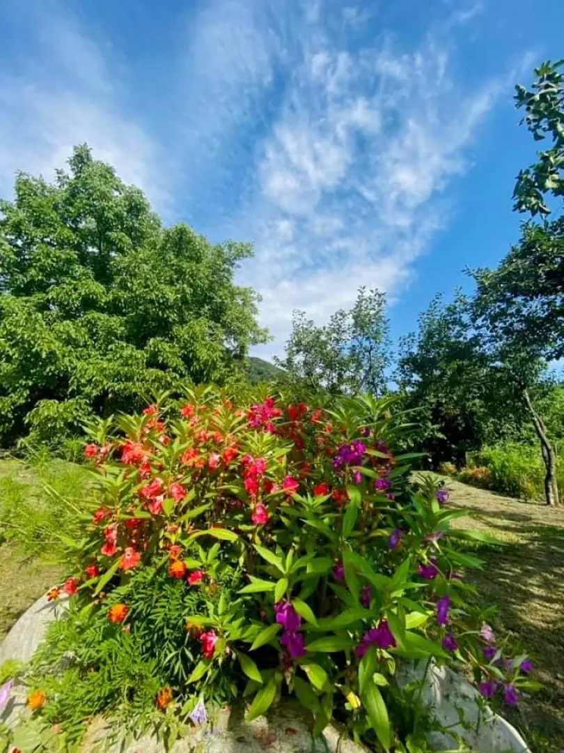 Guesthouse STAR Lagodekhi