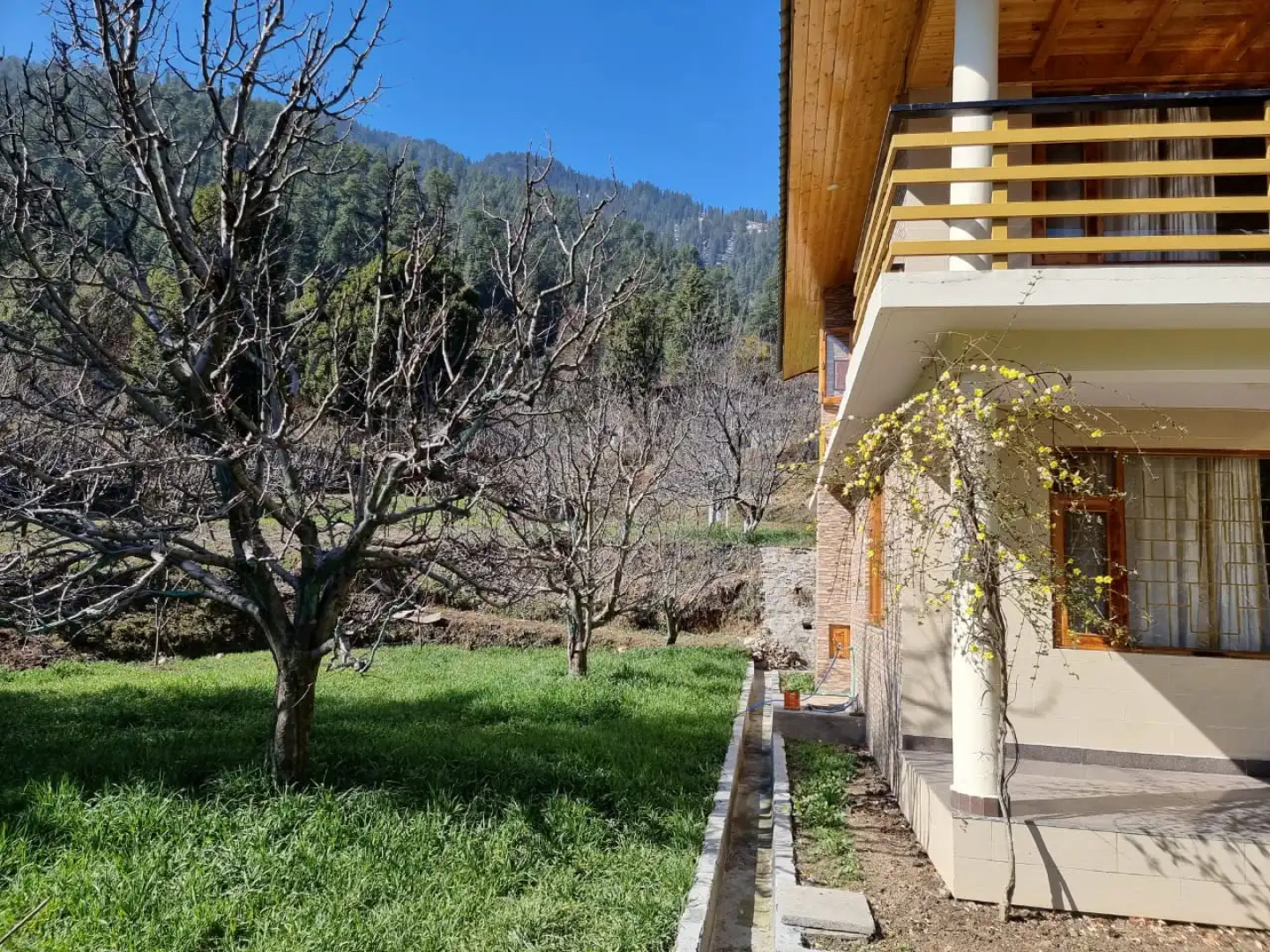 Отель Snow Peak Homes Manali