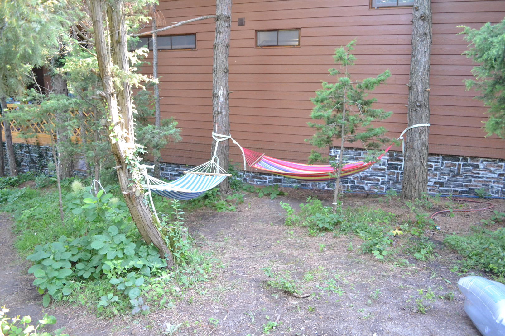 Гостевой дом Лодж Алтай