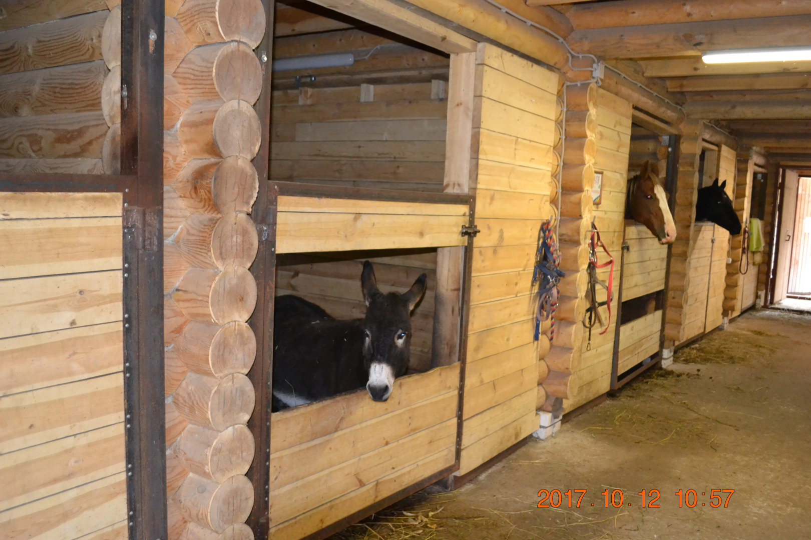 Гостевой Дом Лесной ключ