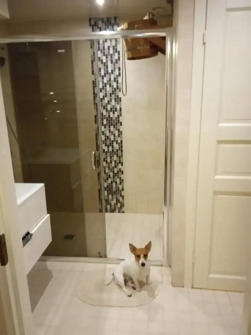 Апартаменты В Питере быть! Апартаменты с сауной и отдельным входом