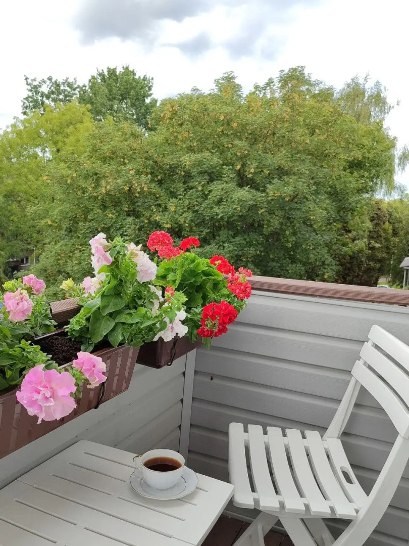 Квартира У музея ИЗО