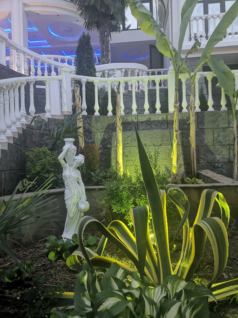 Отель Парк-отель Rivas