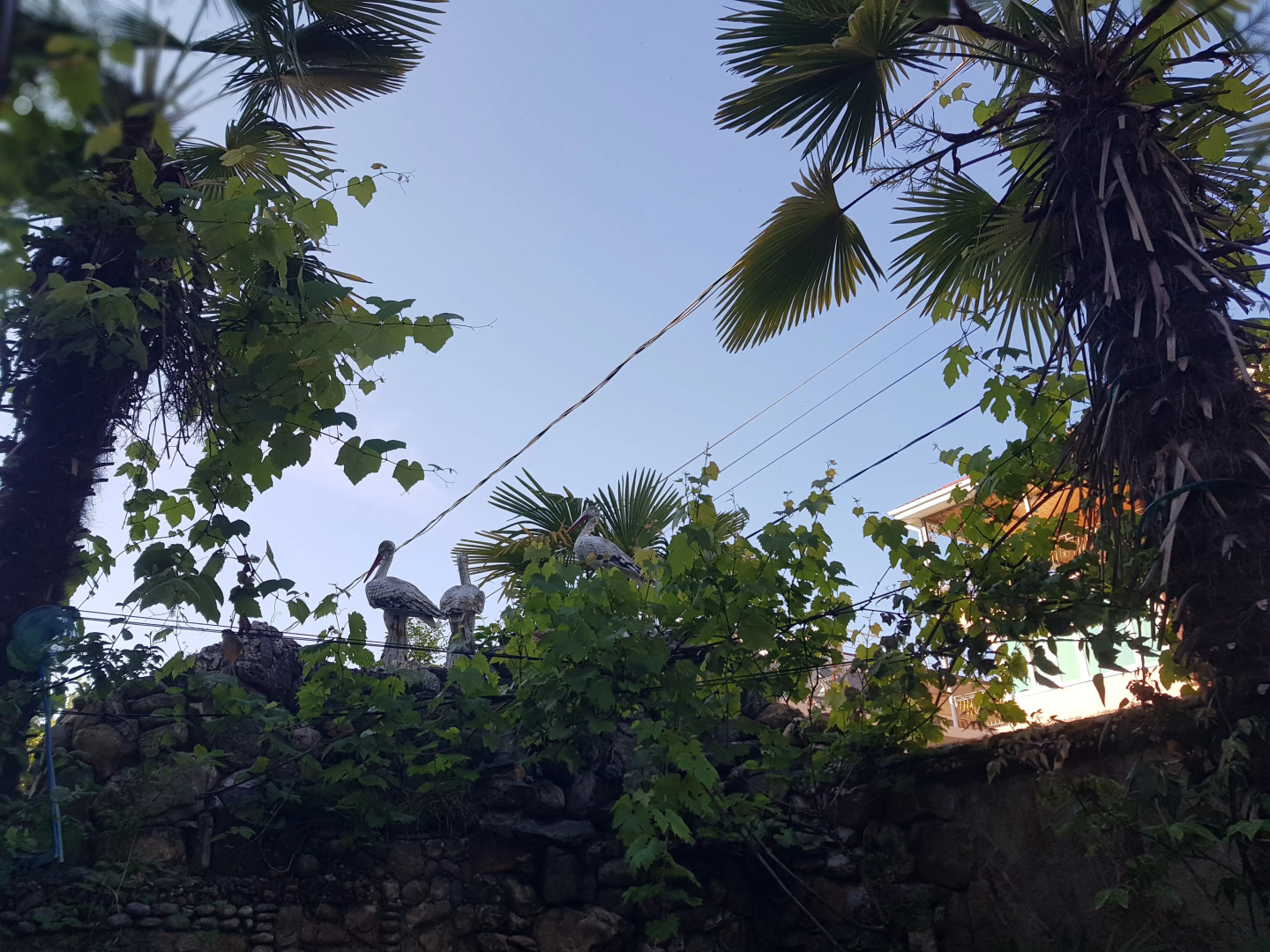 Гостевой Дом ЮгАделия Сочи