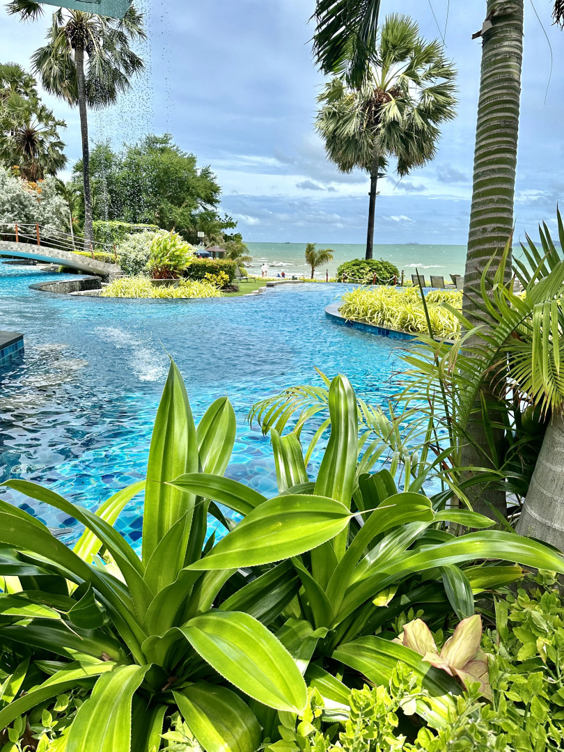 Апартаменты Palm Wongamat Pattaya