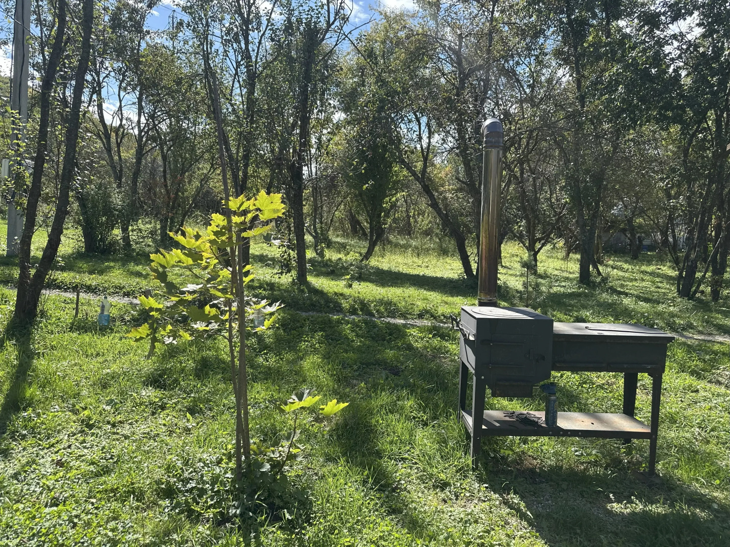 Гостевой дом Лесной