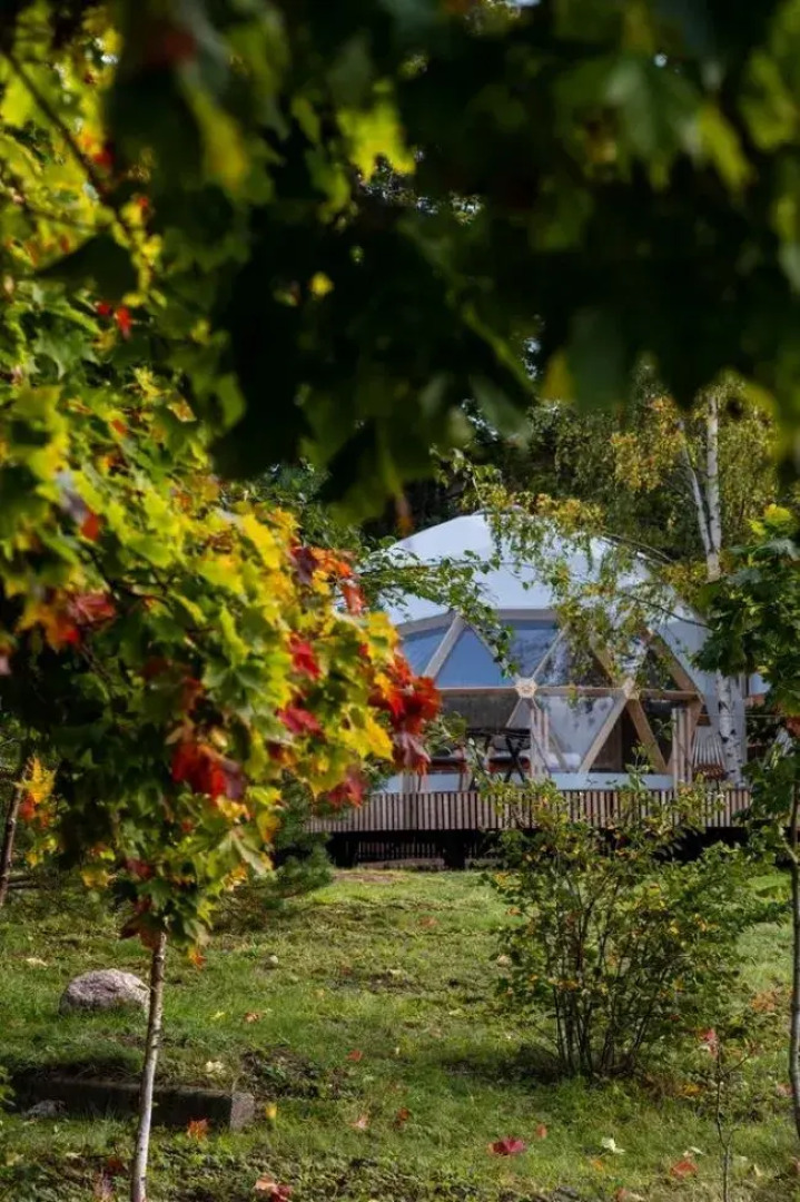 Глэмпинг Выборг Бэй