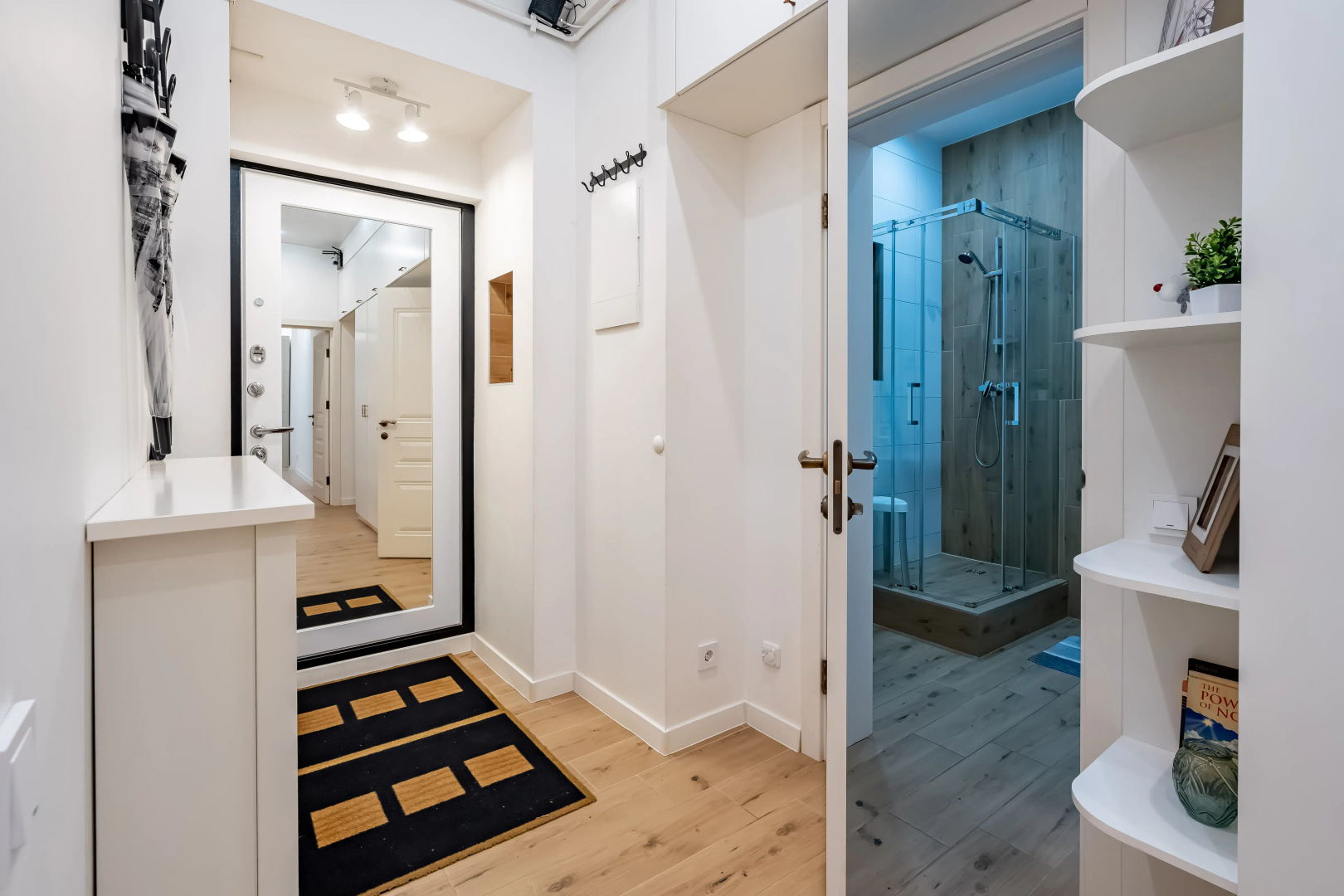 Апартаменты Sergeew Apartments 3-х комнатный Делюкс на Набережной Макарова