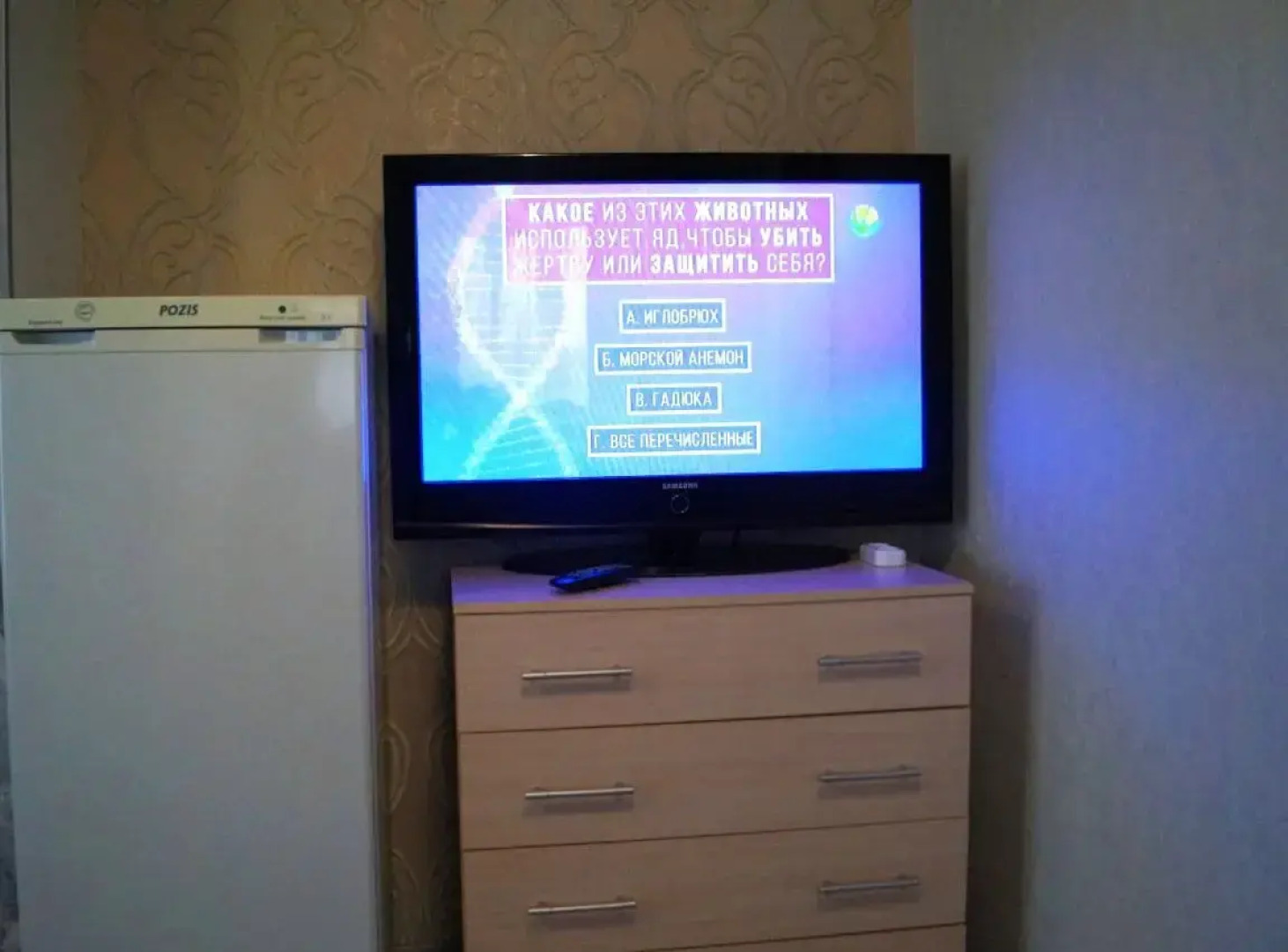 Квартира Интернациональный