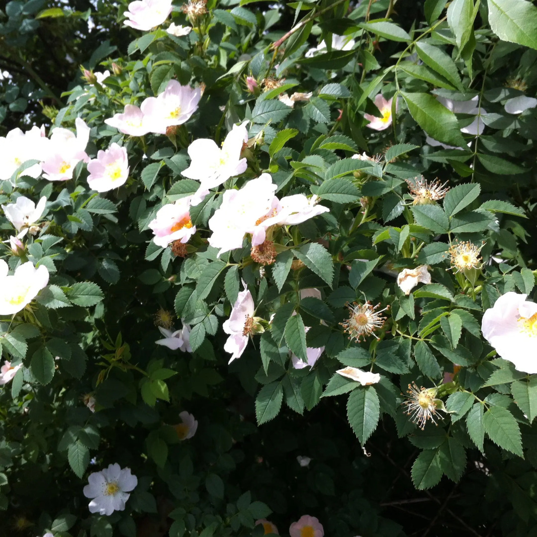 Гостевой Дом СВ