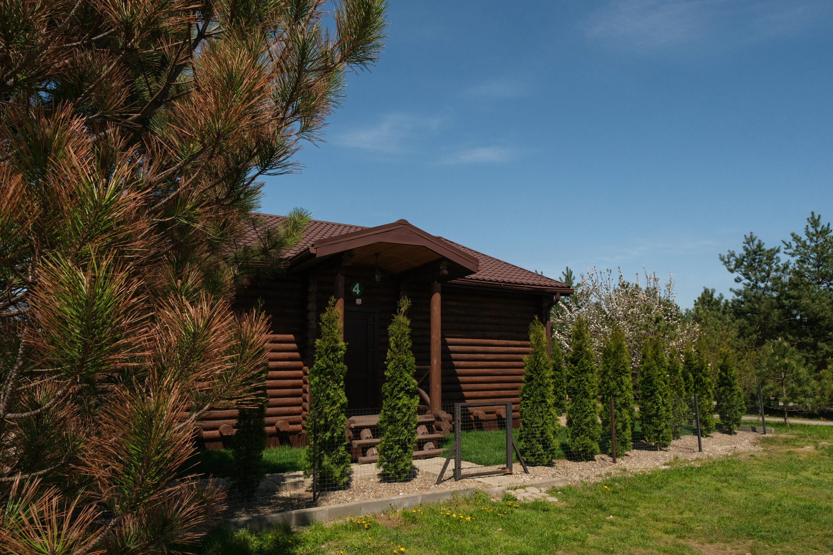 Отель Кедровый Бор