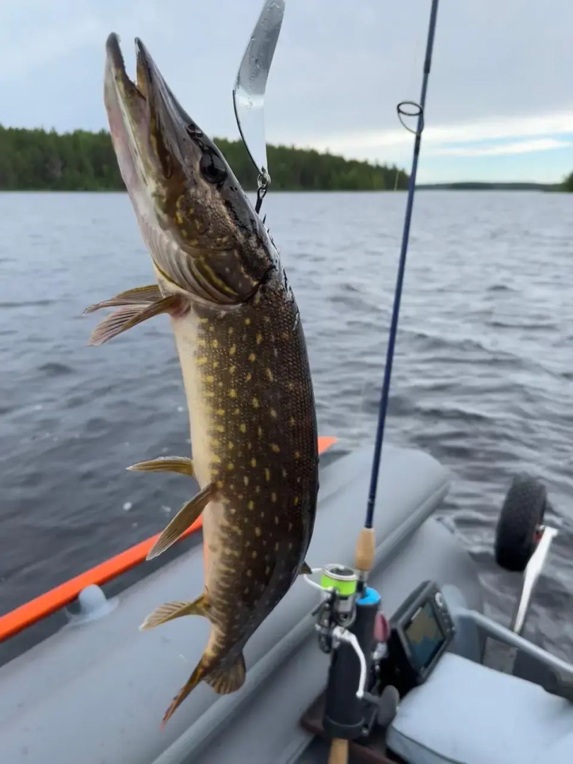 Гостевой дом Лось