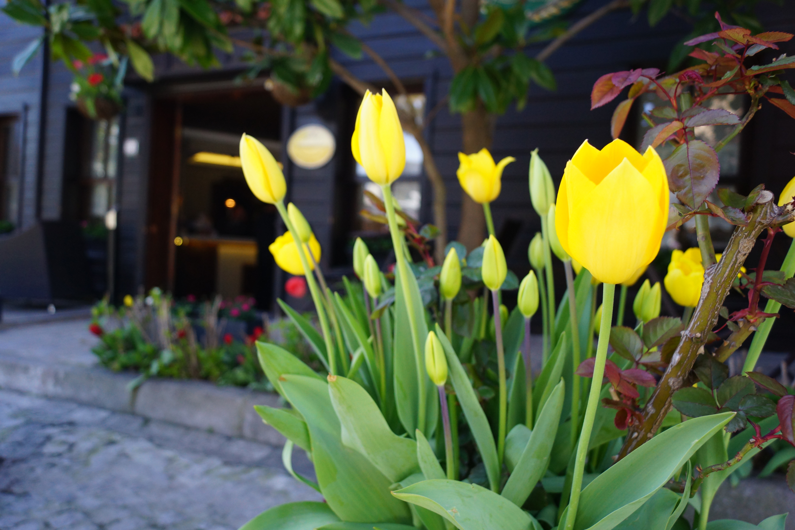 Отель Yusufpasa Konagi