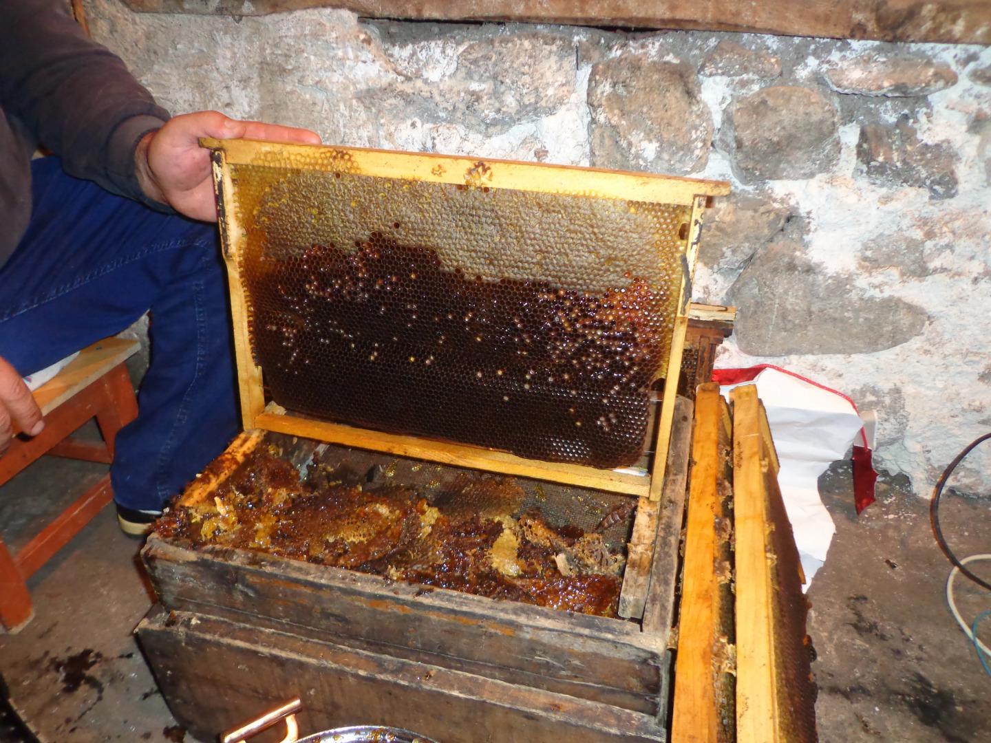 Гостевой Дом Anush`s B&B