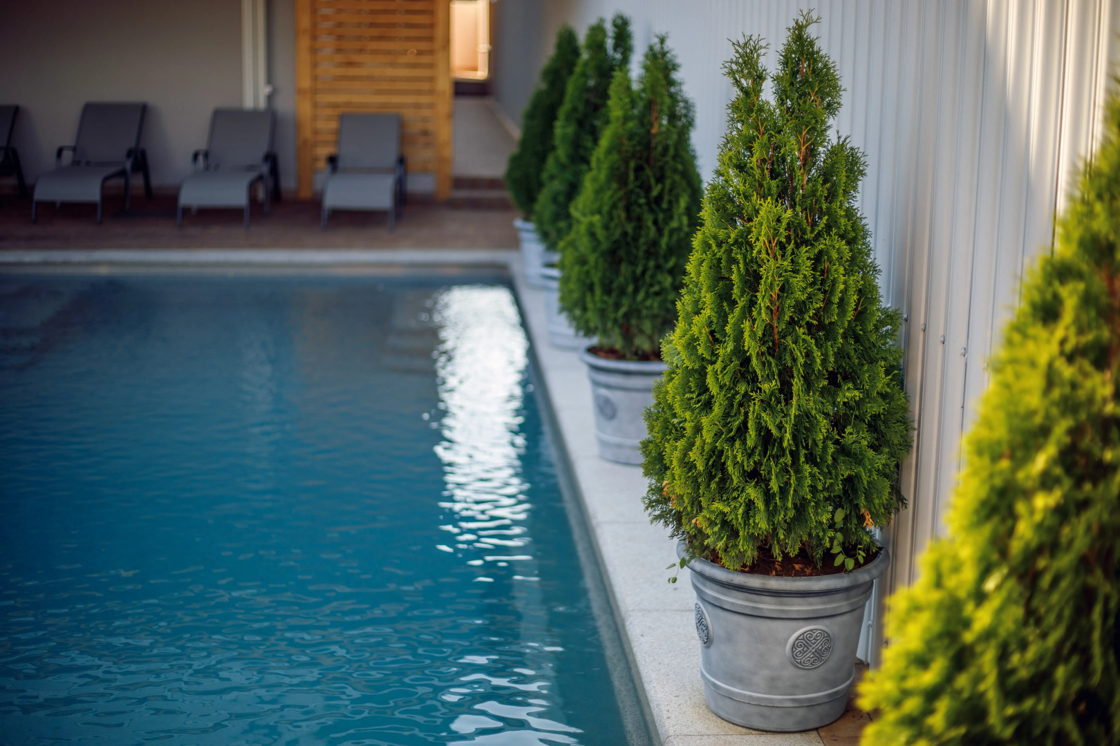 Гостевой дом Nautilus Family