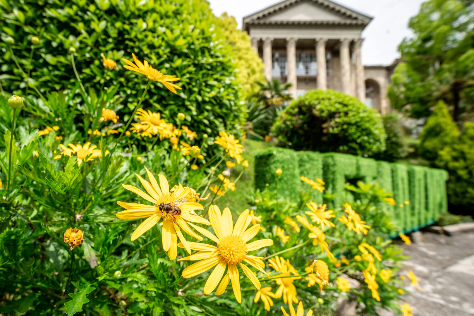 Санаторий Клинический санаторий Металлург