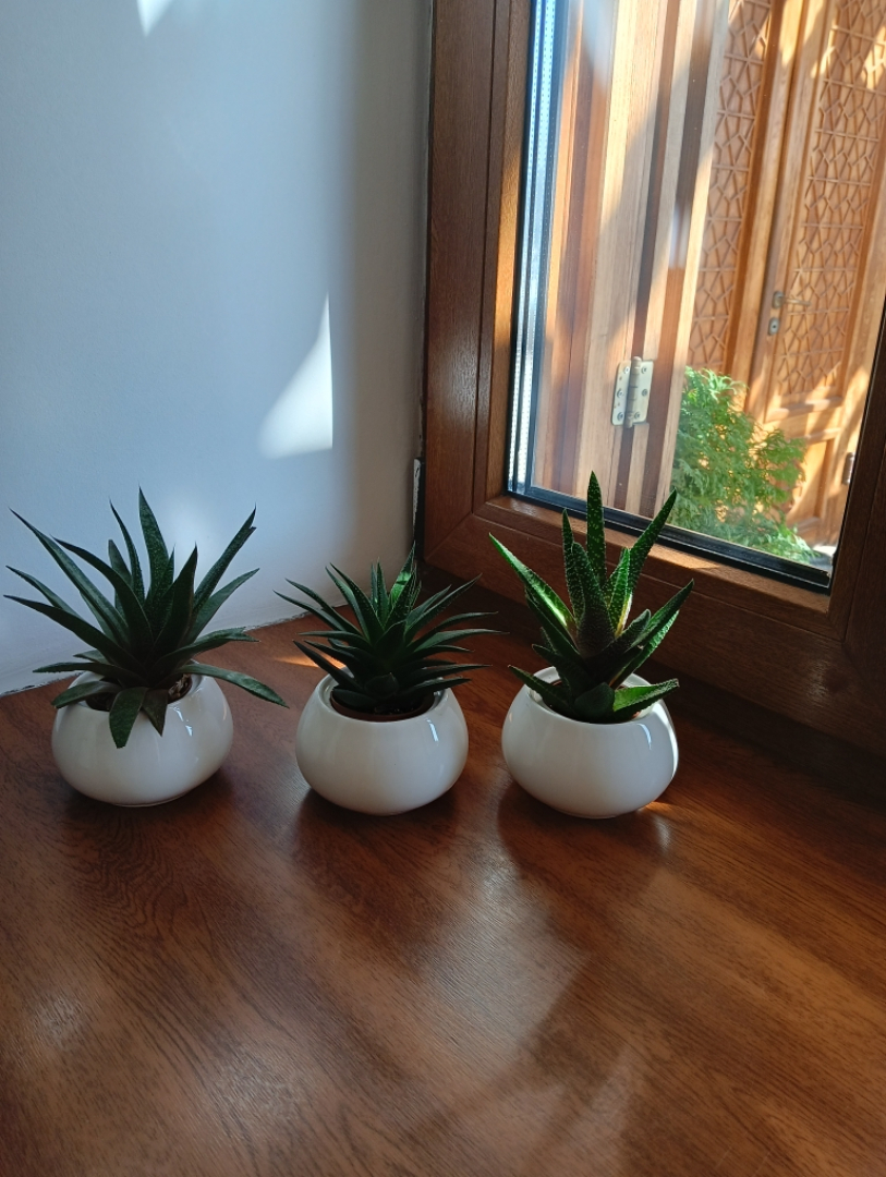 Отель Джеваль