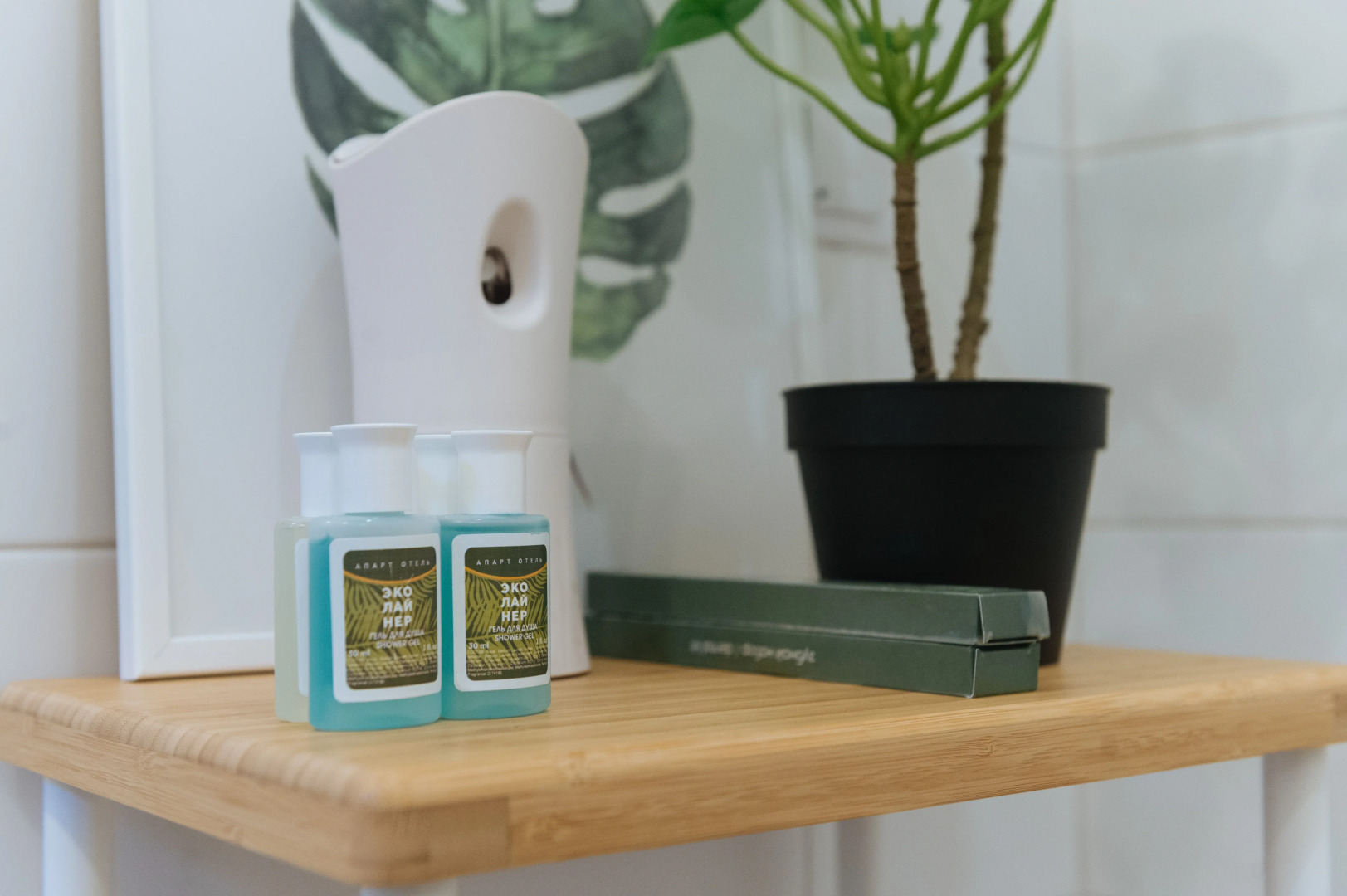 Отель Ecoliner Hotel