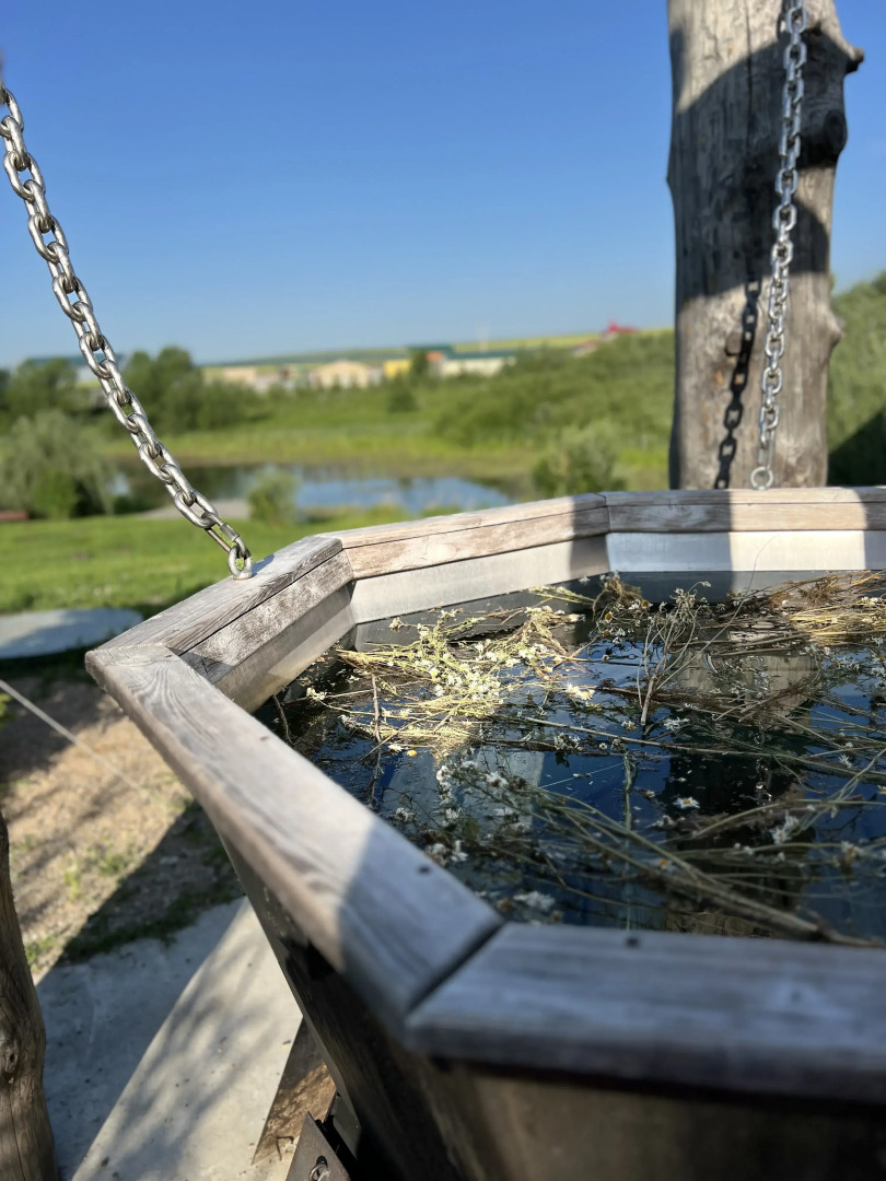 Гостиничный Комплекс Золото Алтая