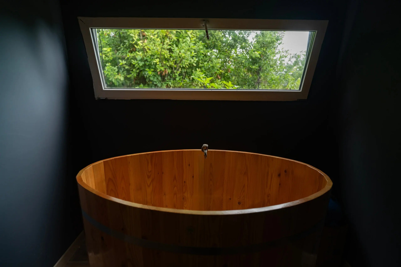 Отель Dионис