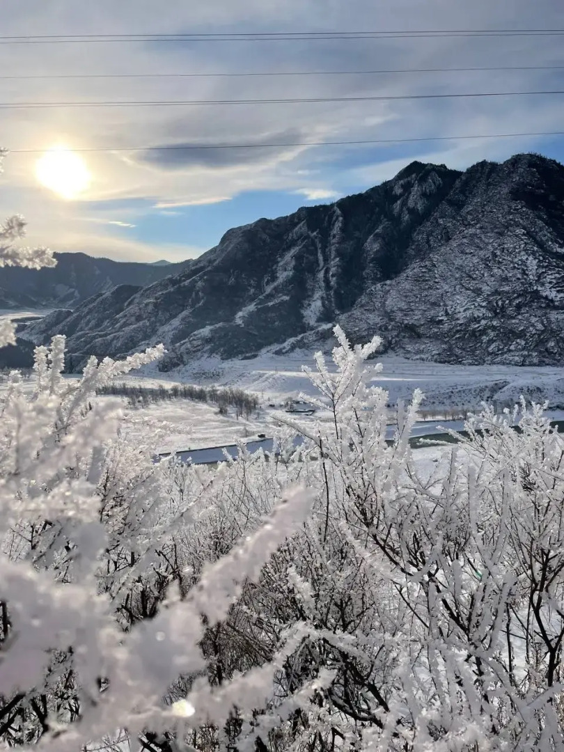 Гостевой дом Дикий Ёж