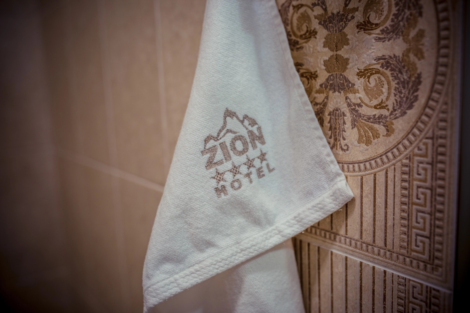 Отель Zion