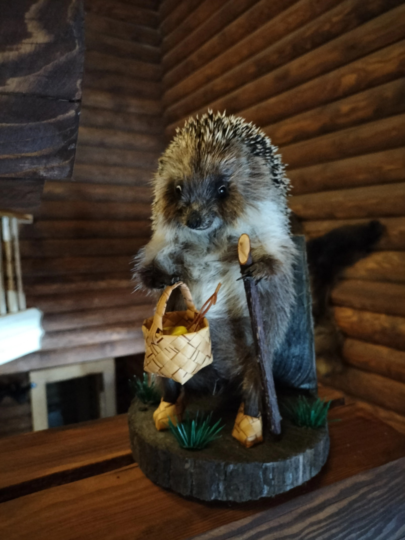 Гостевой дом Мышкин двор Барабановъ