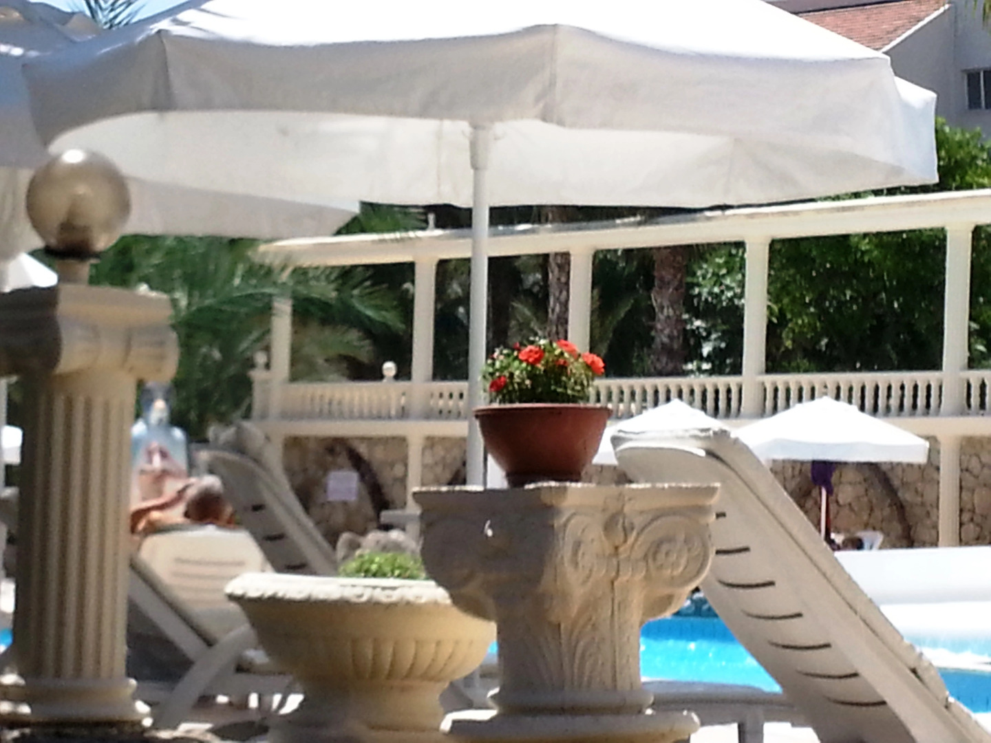 Отель Oscar Resort