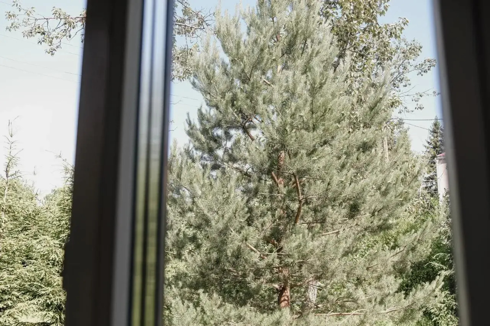 Квартира Апартаменты