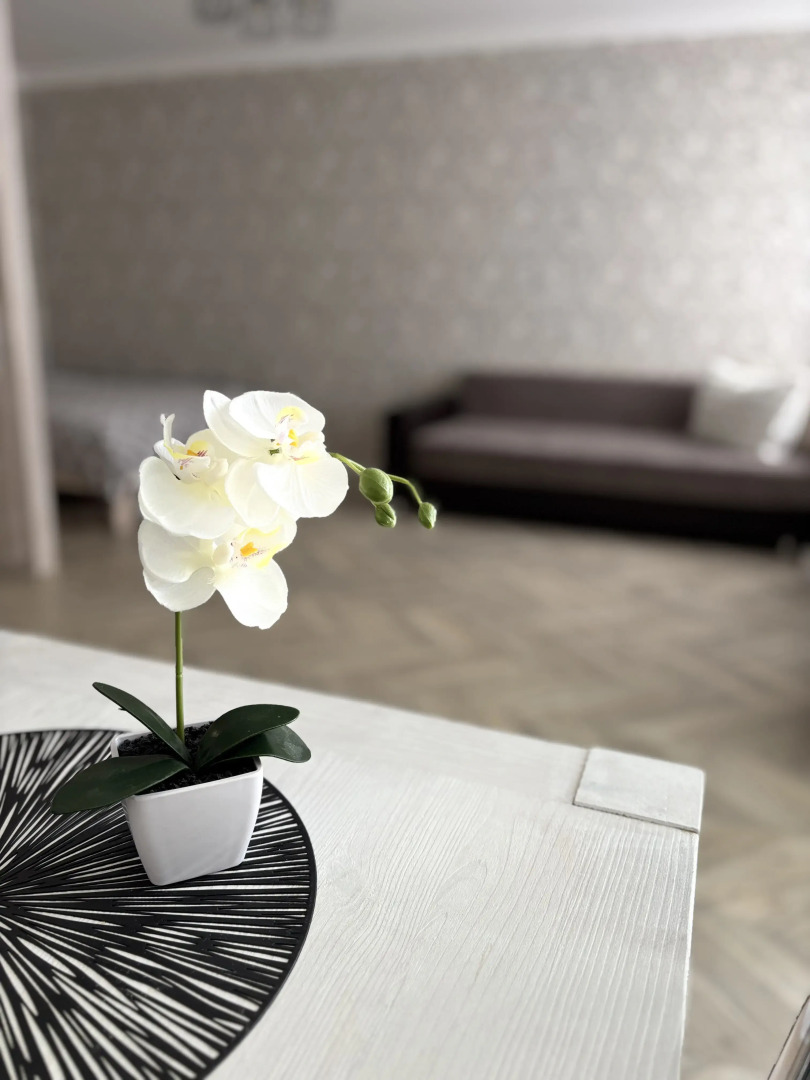 Апартаменты на Папанина 3