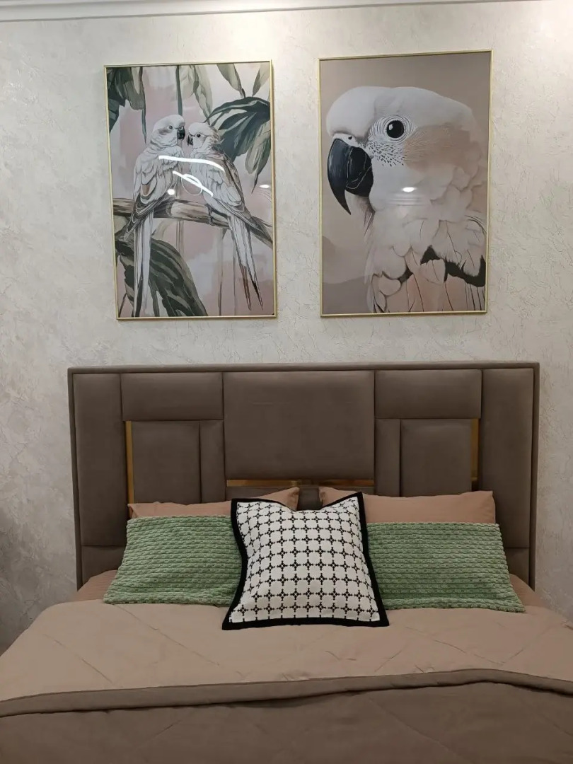 Квартира Уютная Студия Попугаи