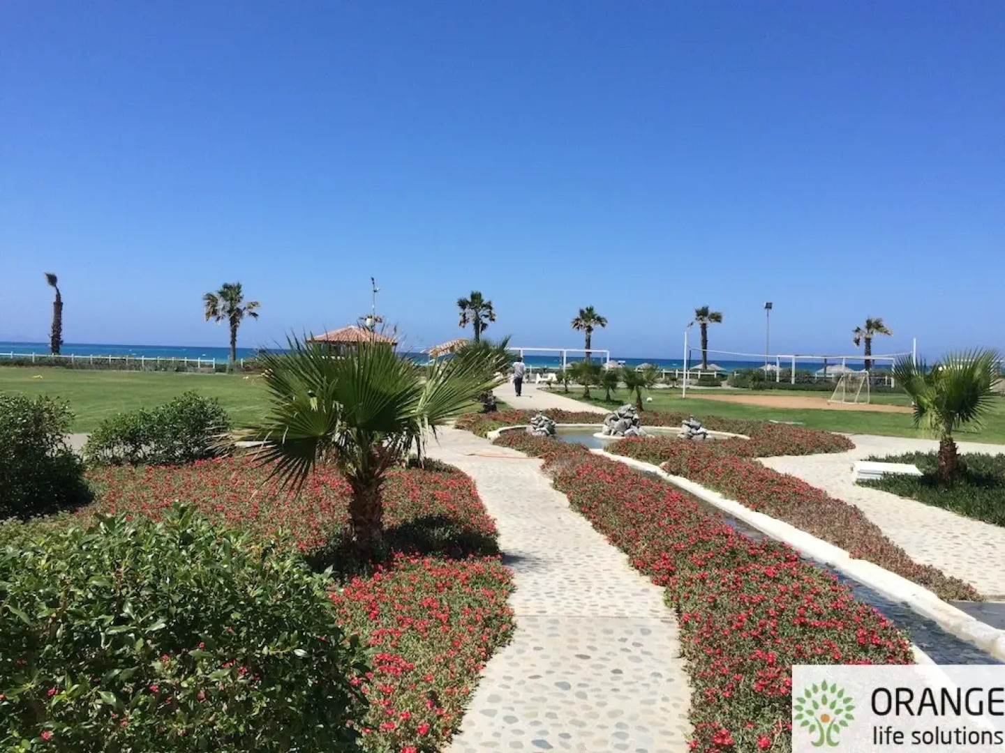 Апартаменты Aphrodite Beachfront Village