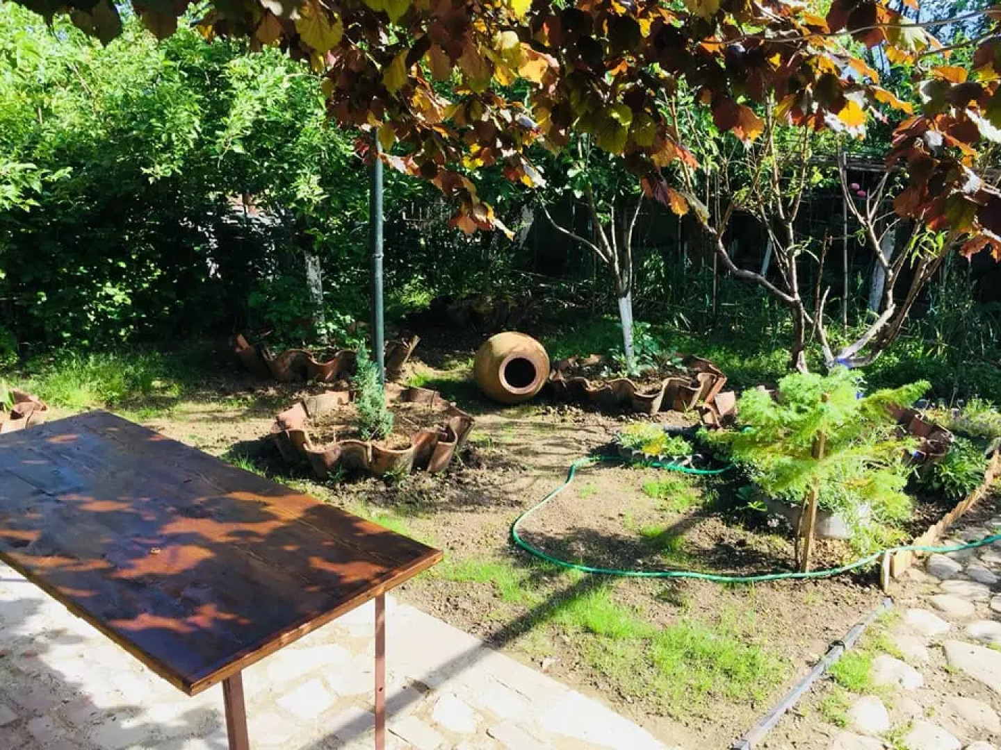 Гостевой Дом Green House Telavi