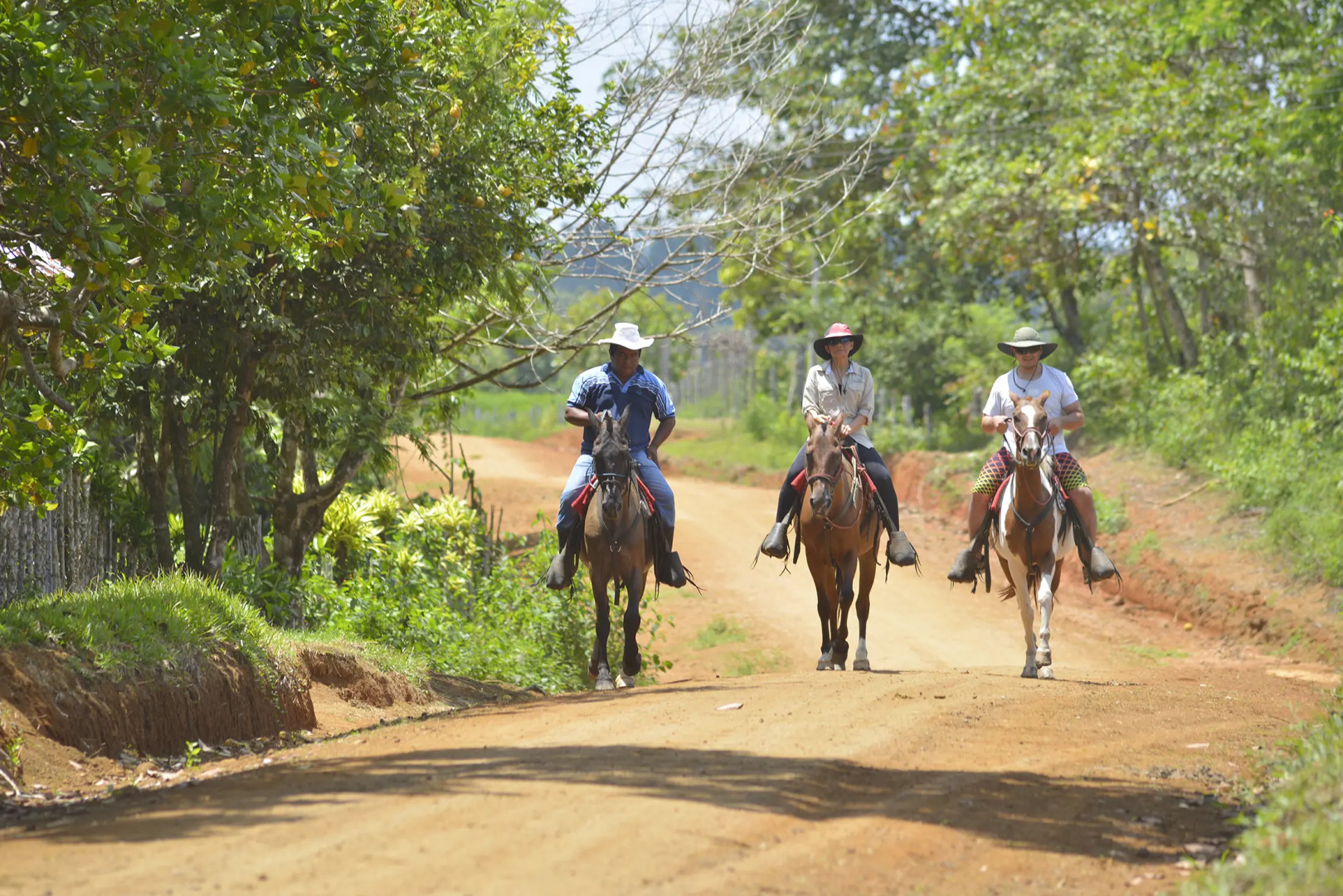 Отель Casa Drake Lodge
