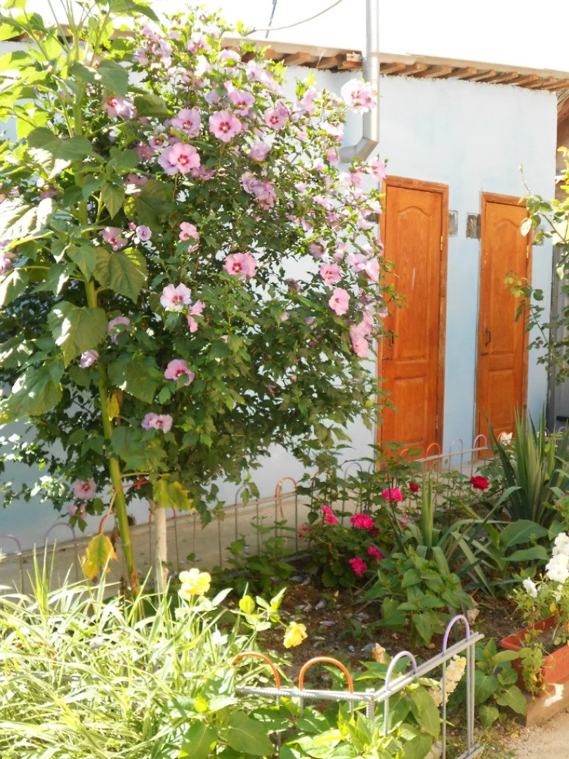 Гостевой Дом на улице Кошевого