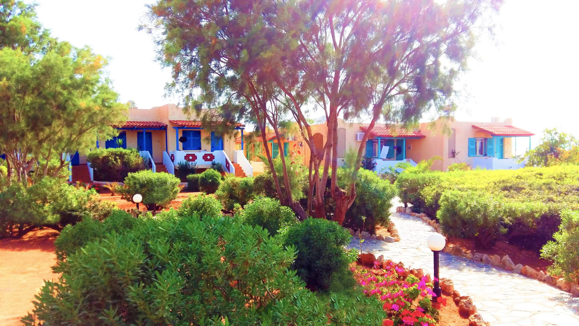 Отель Zorbas Beach Village