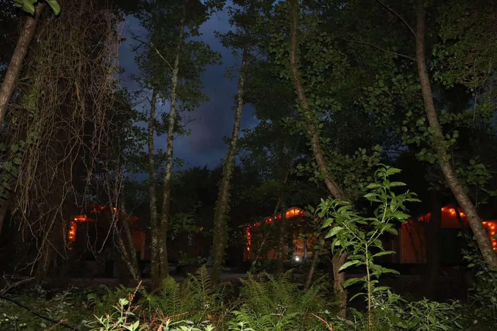 Курортный отель Aqua resort Dacha