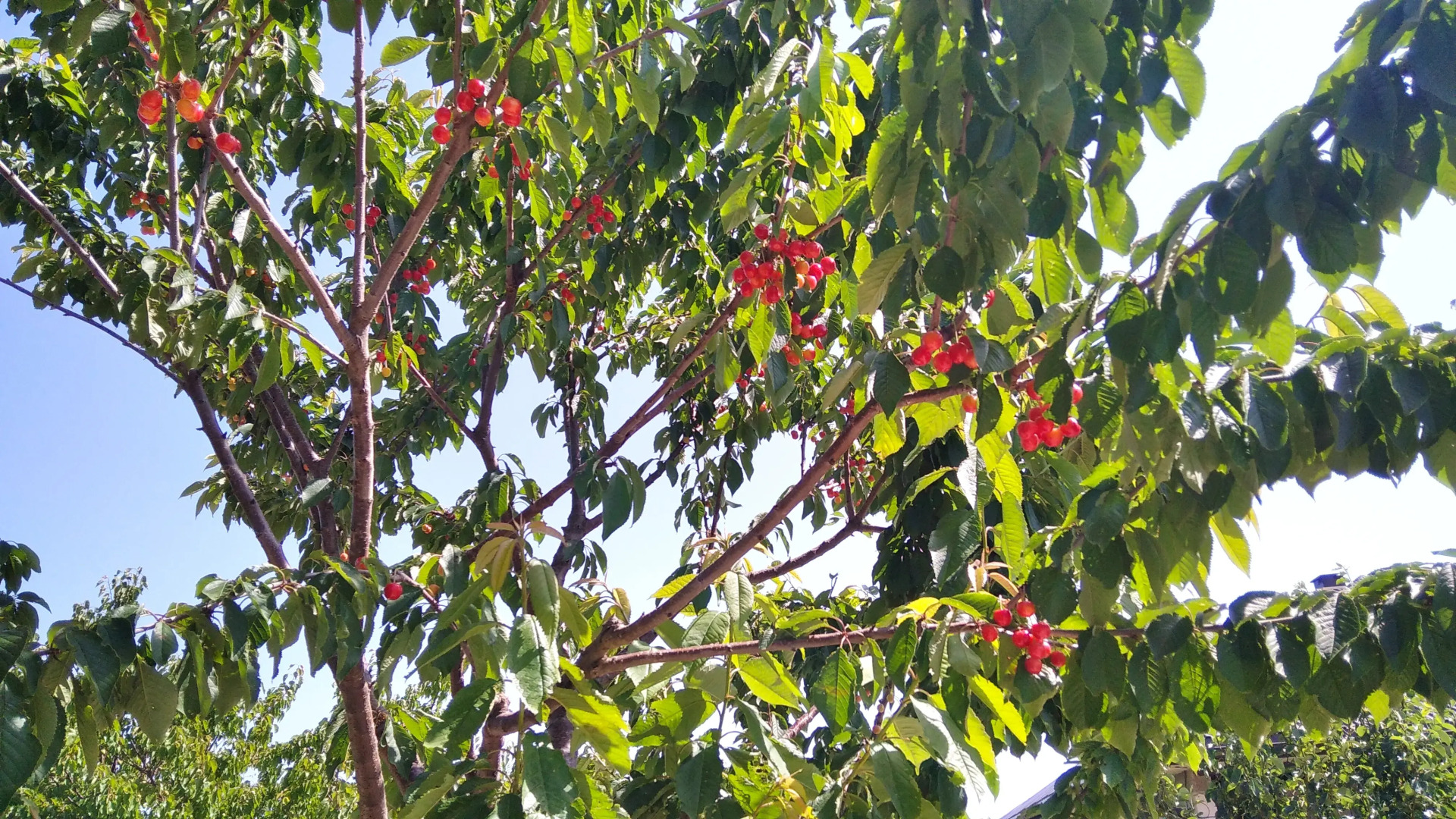 Мини-Отель Добрый Бобр