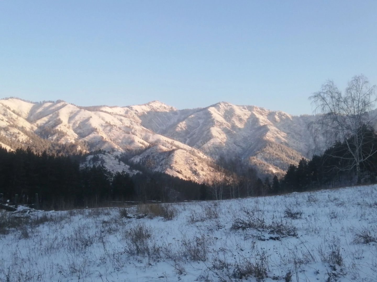 Гостевой дом Усадьба Чикмарёвых
