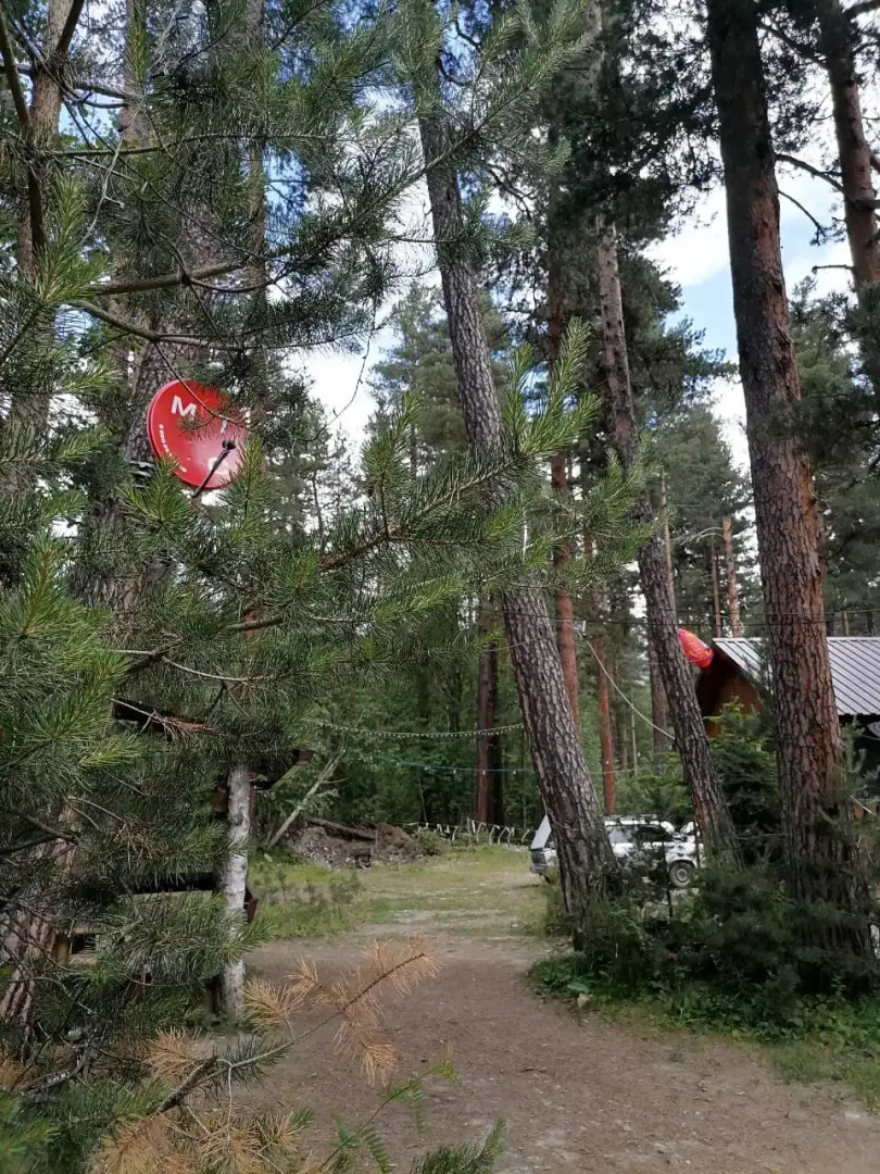 Шале Лес хрустальной песни 1