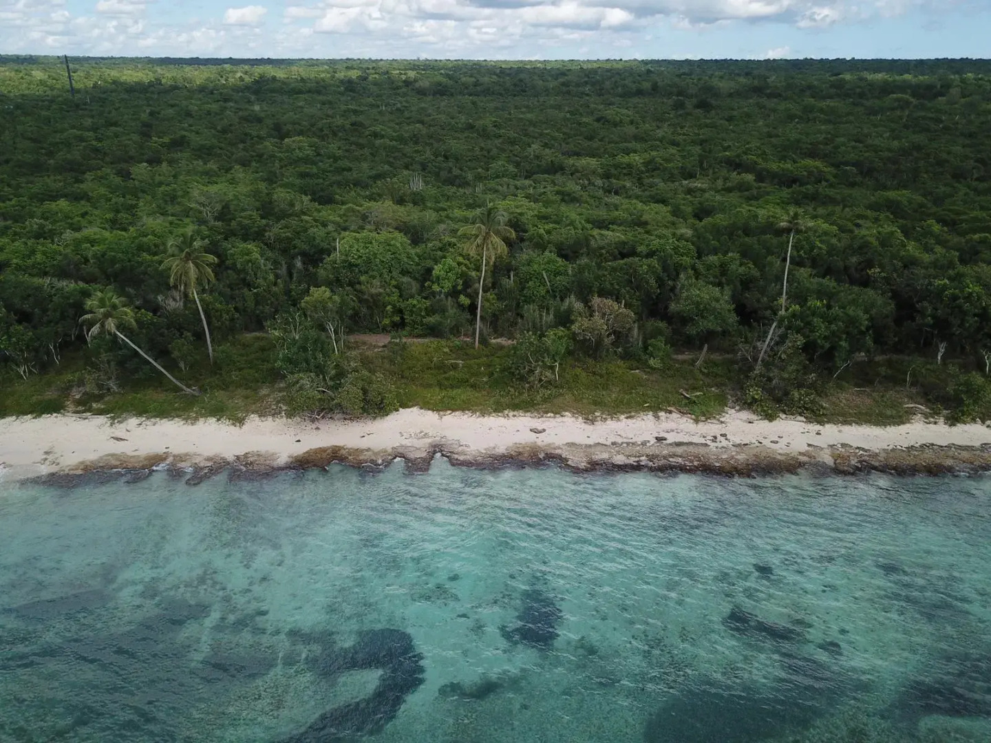 Апартаменты Cadaques Caribe private Club Pez 106