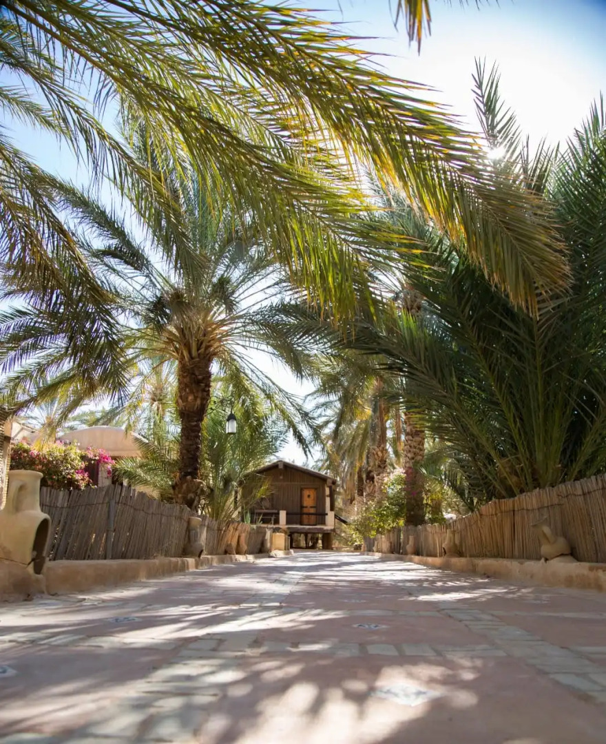 Гостевой дом DAR HORCHANI