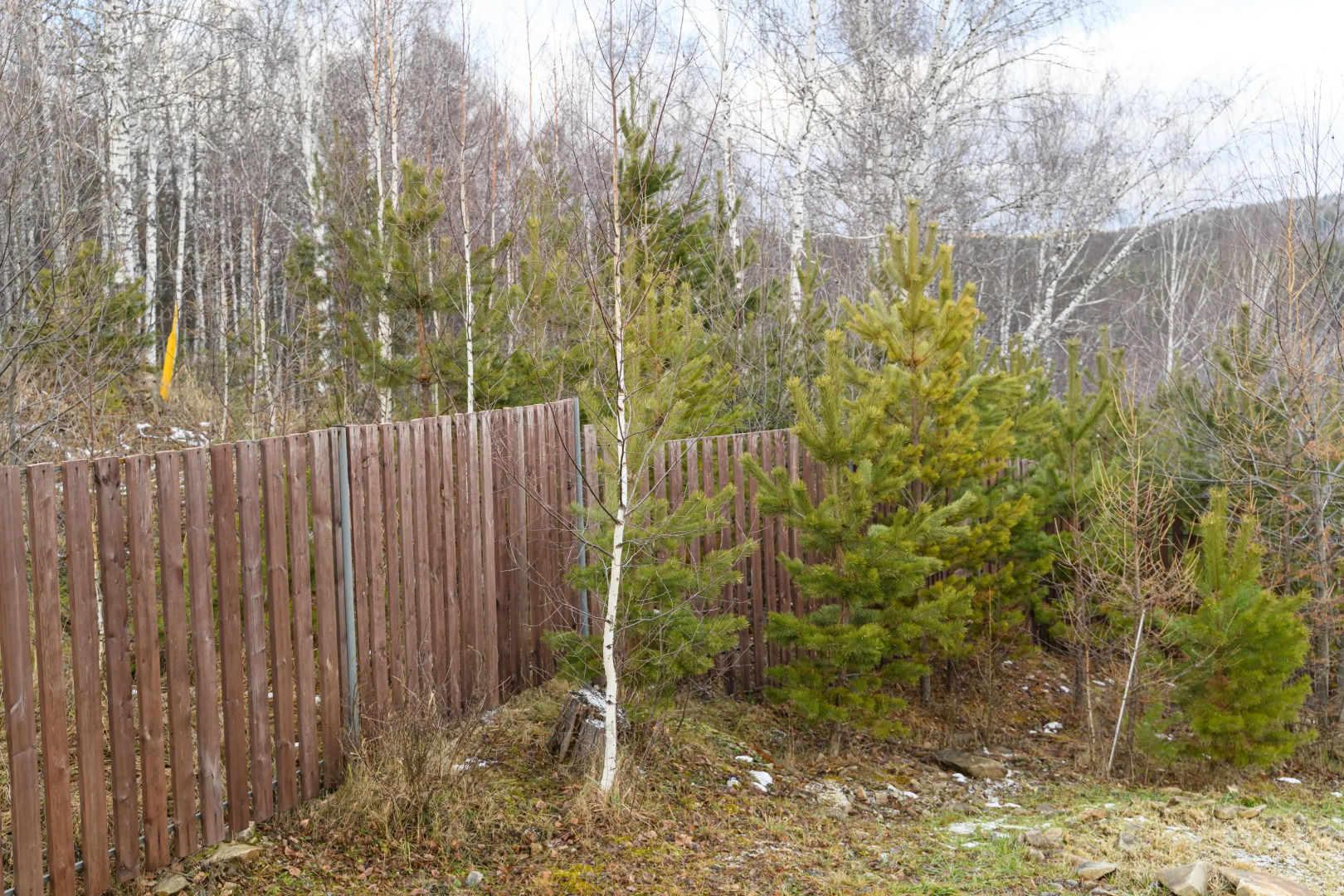 Гостевой дом Душа