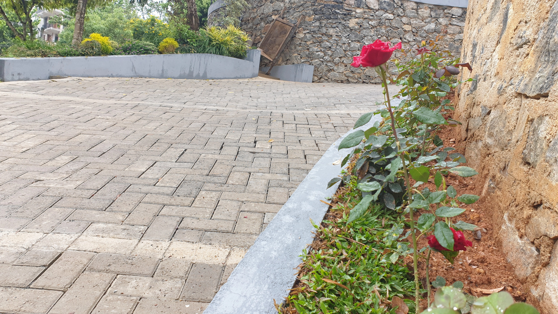 Отель The Cubes Ella