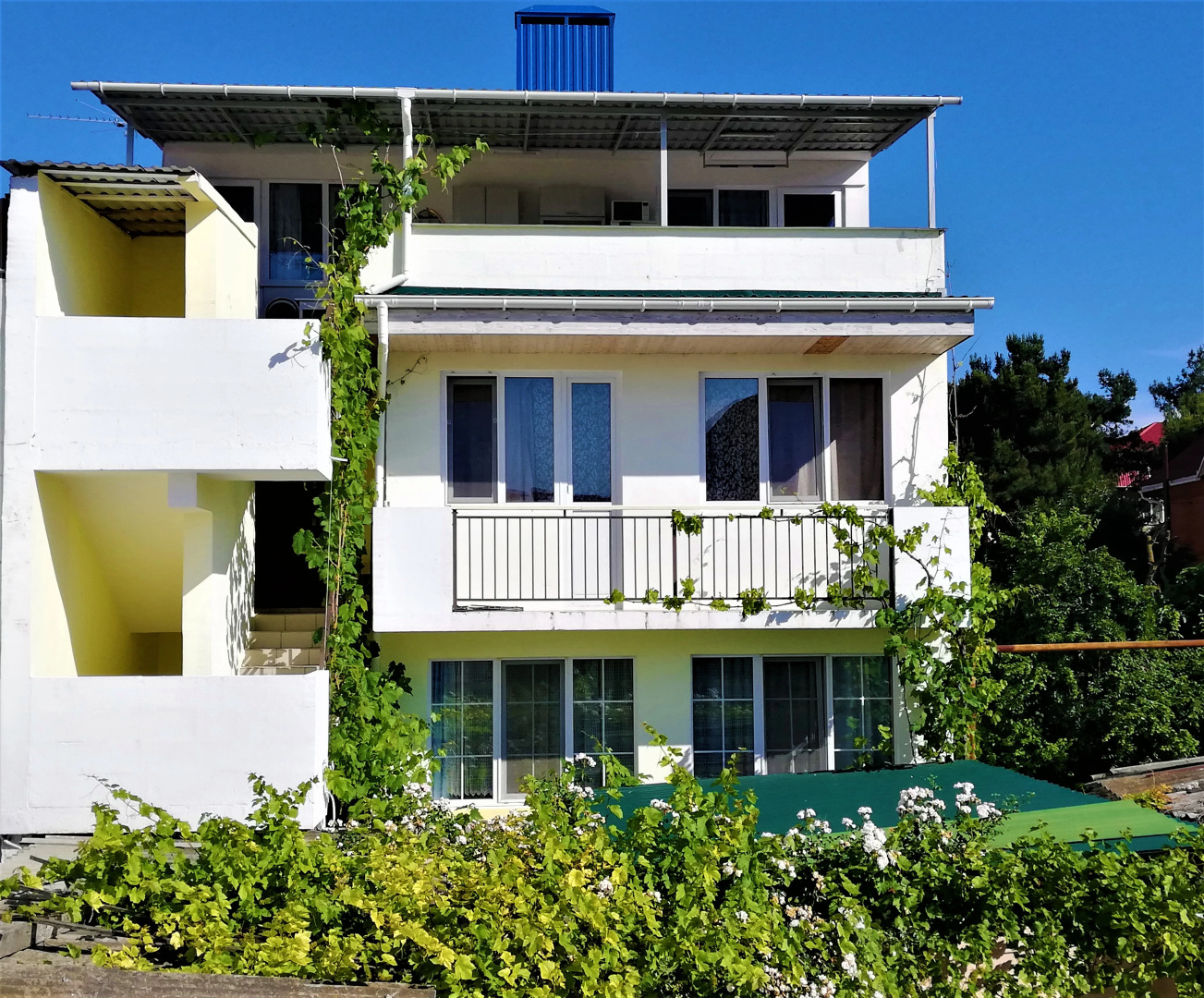 Гостевой Дом Виноград