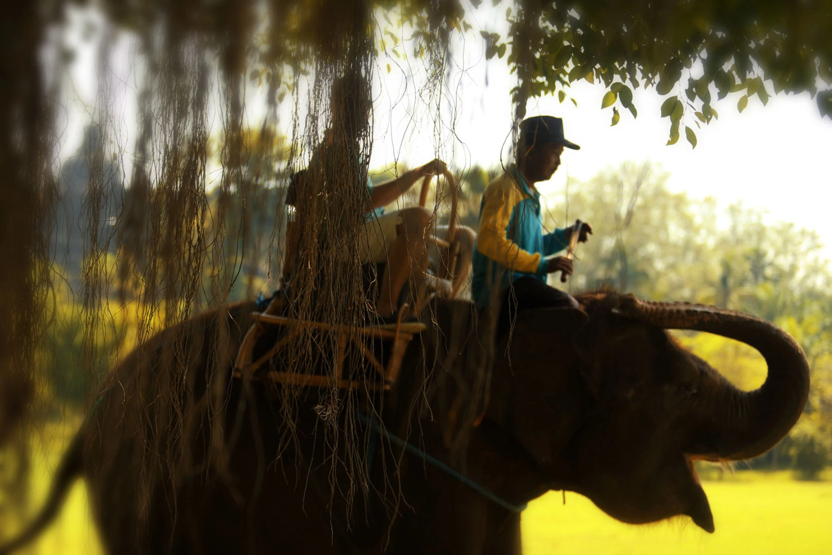 Отель Plataran Borobudur Resort and Spa
